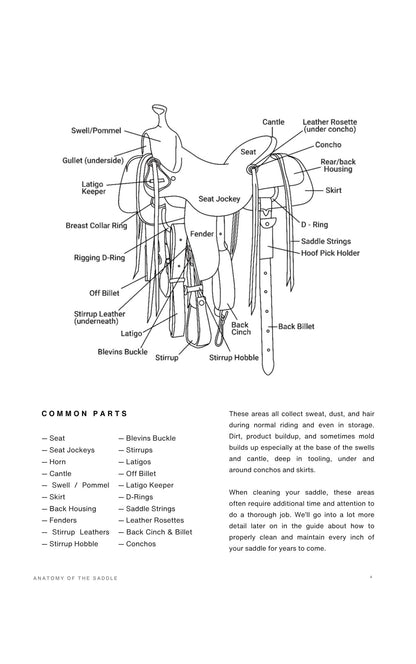 The Grit to Glam Complete Saddle Cleaning Guide