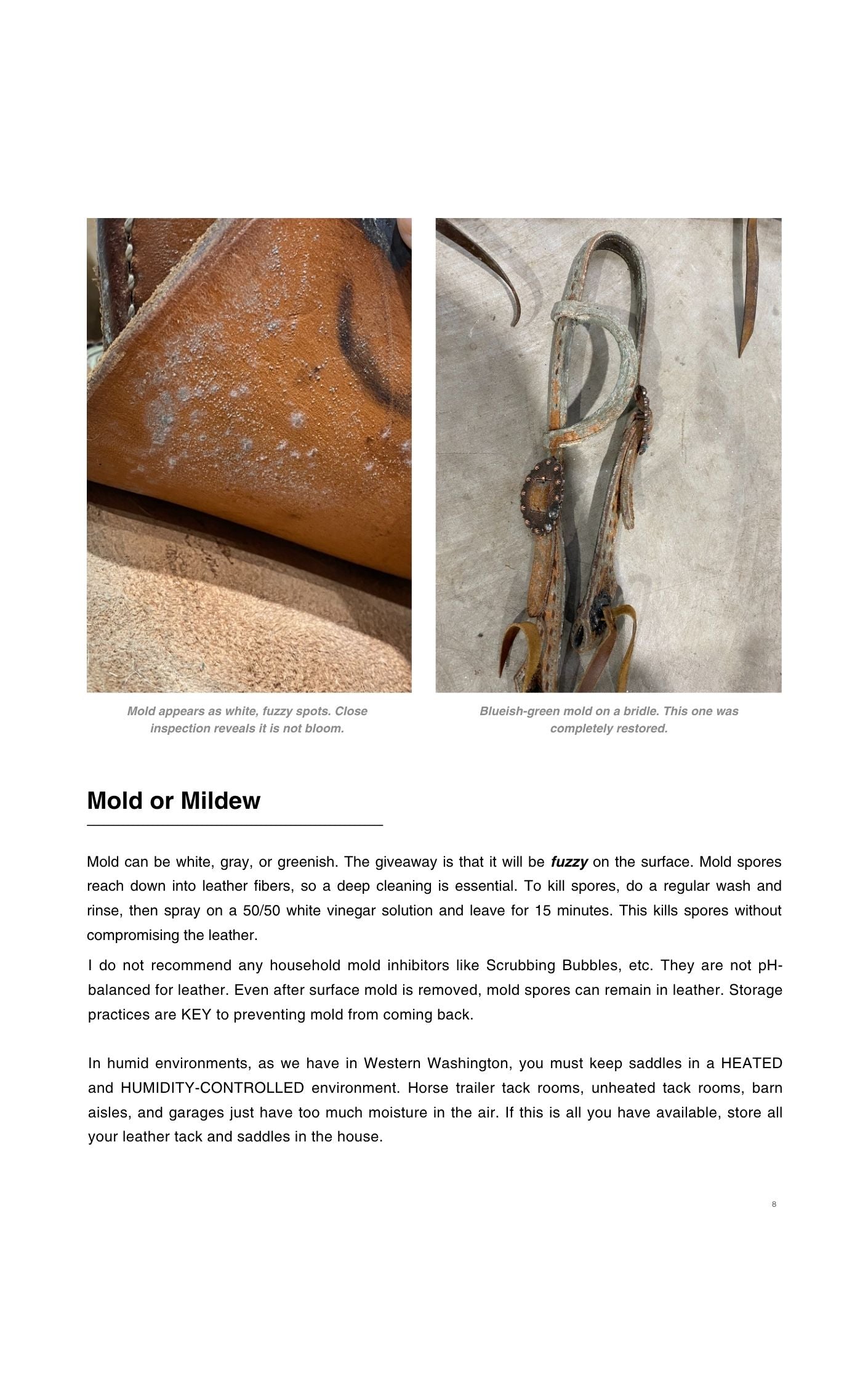 The Grit to Glam Complete Saddle Cleaning Guide